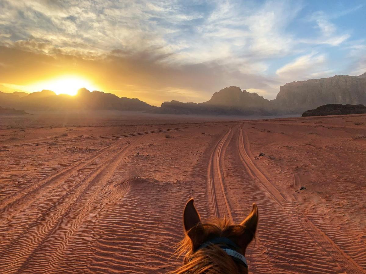 Wadi Rum Bedouin Tour With A Camp Kültér fotó