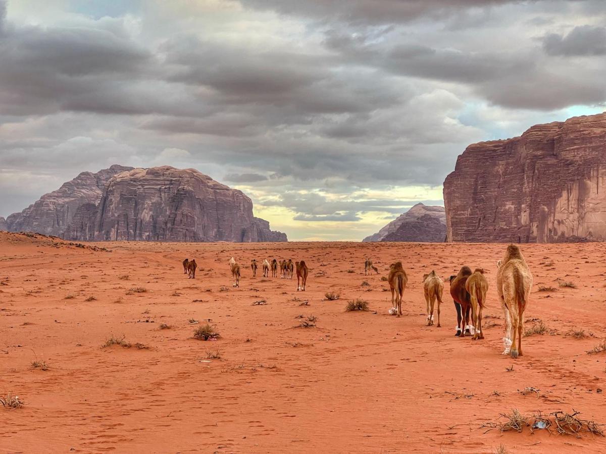 Wadi Rum Bedouin Tour With A Camp Kültér fotó