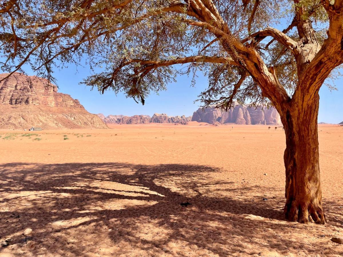 Wadi Rum Bedouin Tour With A Camp Kültér fotó