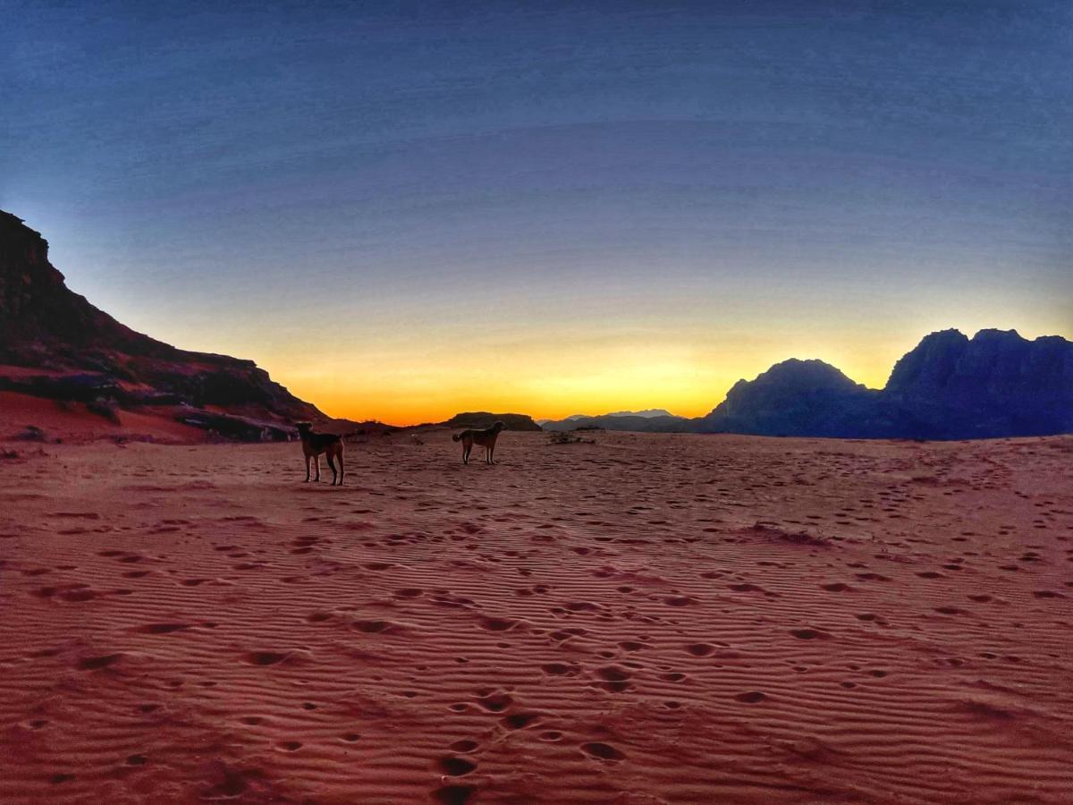 Wadi Rum Bedouin Tour With A Camp Kültér fotó